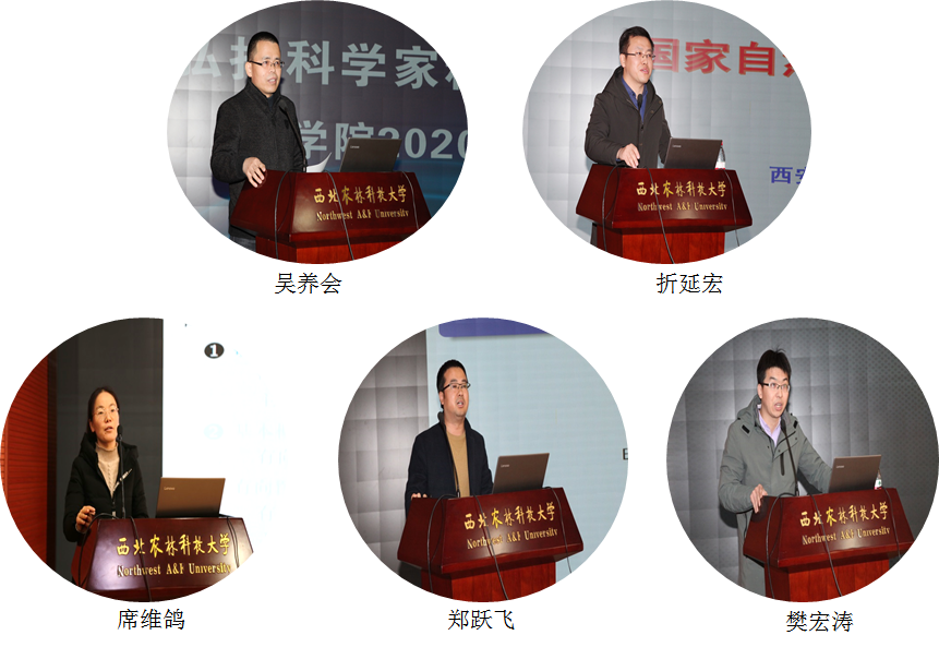 bc67a2f0770140c08693f155c3a05646.png